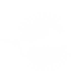 Whaleshark Productions
